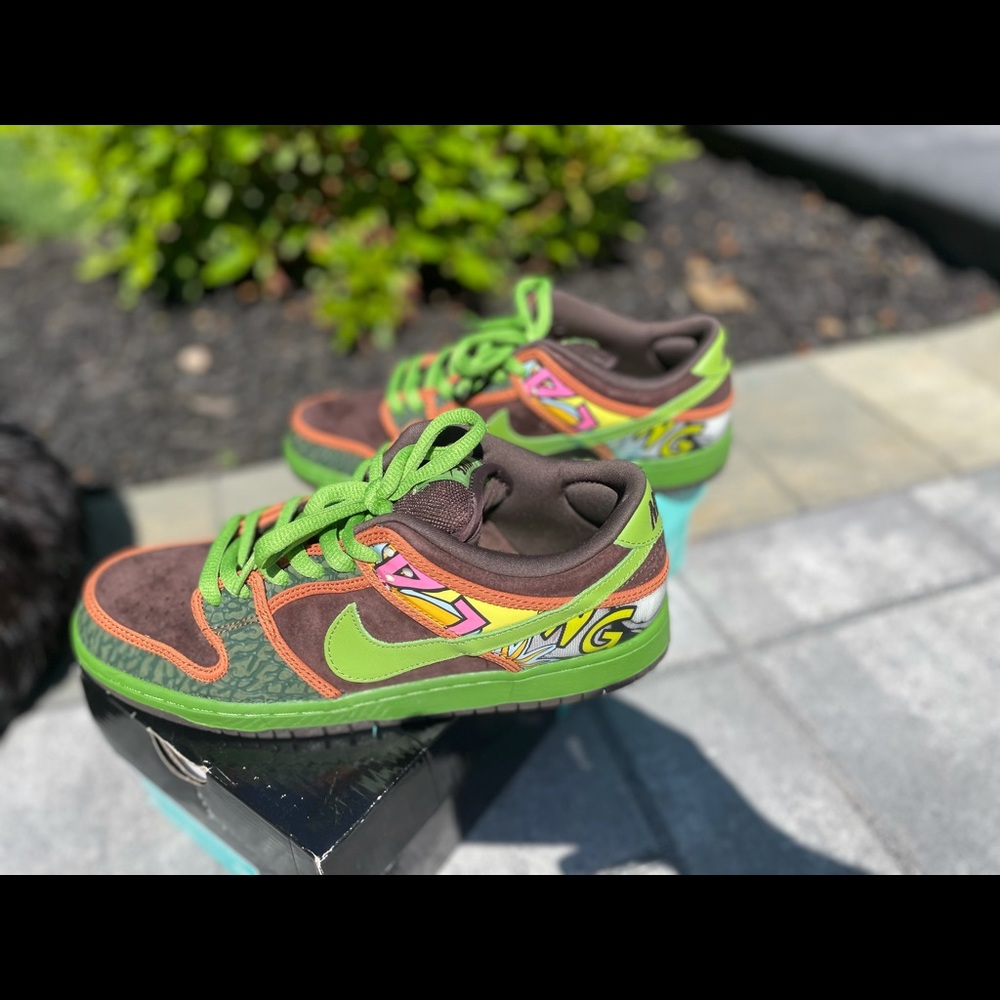 Nike skateboard shoes